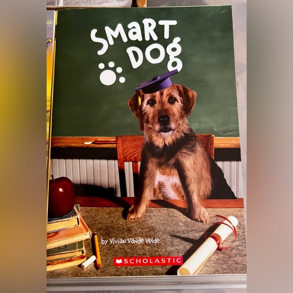 Fiction Book Lot 6 Like New Books Juvenile Readers Chapters Scholastic School - Picture 9 of 9